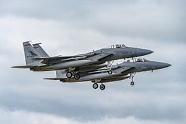 Two F-15s from Oregon Air National Guard. by Jaap van den Berg