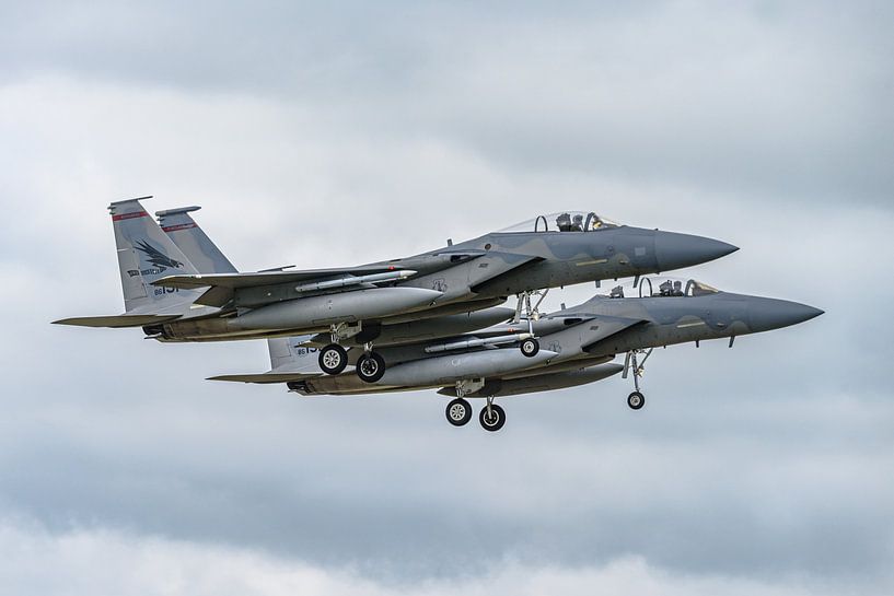 Two F-15s from Oregon Air National Guard. by Jaap van den Berg