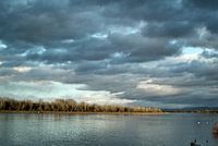 Rhine in spring