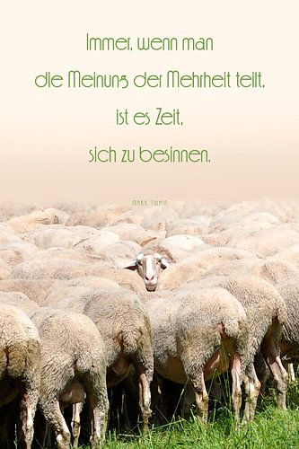 Reflectie | Mark Twain