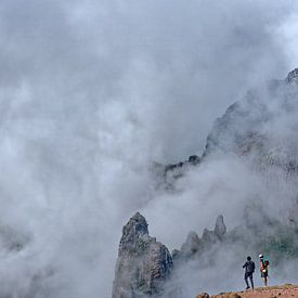 Courage, ou "Qui a eu cette idée ?" sur BHotography