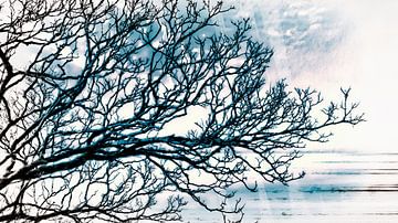 Winter Baum von Mad Dog Art