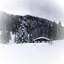 Bavarian Winter's Tale VIII van Melanie Viola thumbnail