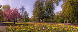 Panorama du Wilhelminapark à Breda sur I Love Breda