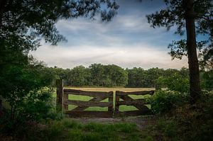 Clôture par la prairie sur Mark Bolijn