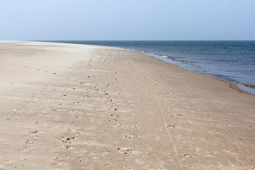 Het Strand bij Waddenzee en Noordzee