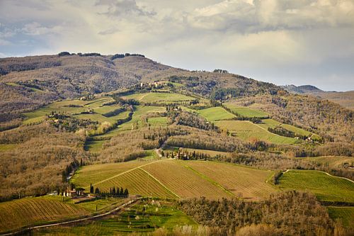 Patterns on the hill