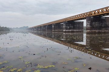 Moerputten railway bridge and swamp by Sander Groffen
