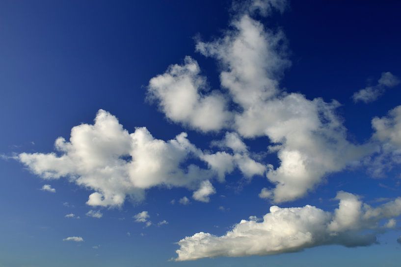 Nuages blancs en peluche dans un ciel bleu par Sjoerd van der Wal Photographie