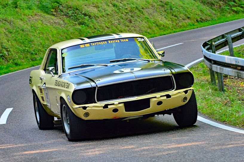 Ford Mustang Terlingua Racing Team - Start 108 - Eggberg Klassik 2025 by Ingo Laue