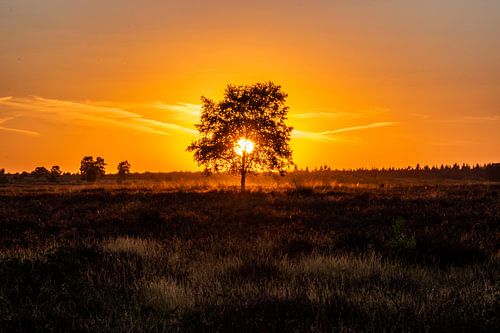 Zonsondergang