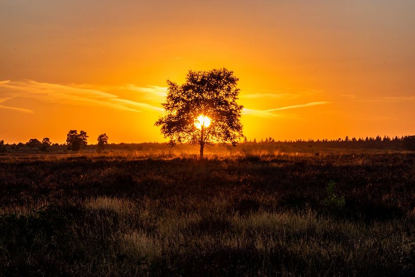 Zonsondergang van Bill hobbyfotografie