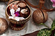 Herbes pour le massage thaïlandais par Patricia Verbruggen Aperçu