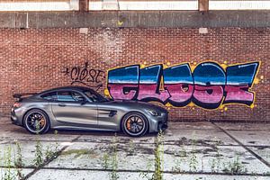 Mercedes-AMG GT R von Bas Fransen