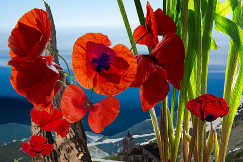 Coquelicots, montagnes, église, ciel bleu sur Susan Hol