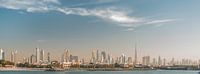 The Dubai Skyline