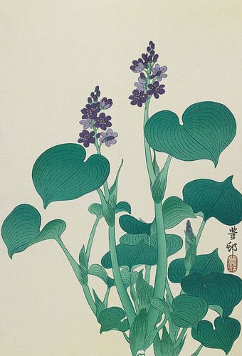 Water Hollyhock, Ohara Koson