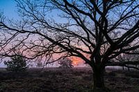 Early sunrise