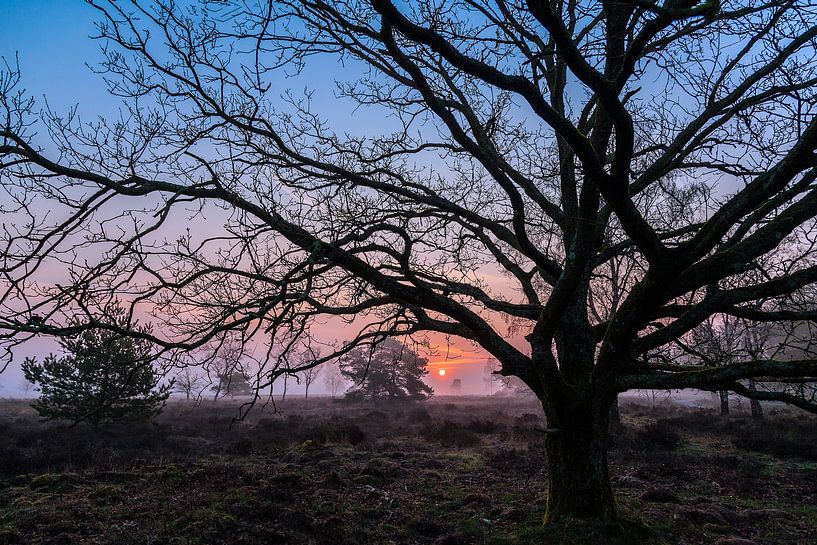 Lever de soleil précoce par Wilma Wijnen