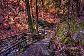 Gebirgsfluss La Hoëgne von Rob Boon