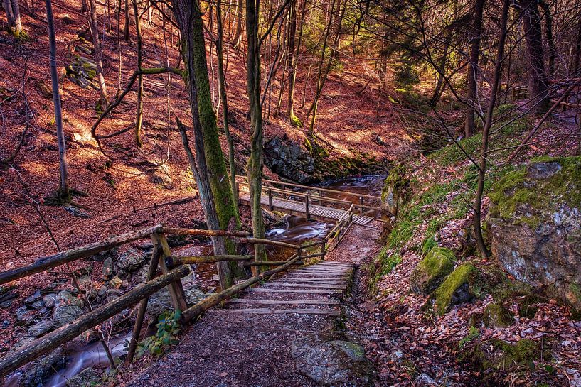 Bergrivier La Hoëgne van Rob Boon