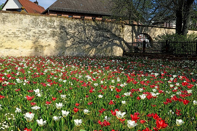 Farben des Frühlings von Thomas Riess