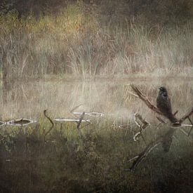 Zwischen Zweig und Reflexion von Iris van Heusden