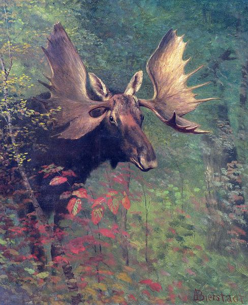 Albert Bierstadt, Studie van een eland van Atelier Liesjes