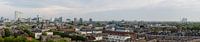 Panorama der Stadt Rotterdam, Niederlande von Martin Stevens Miniaturansicht