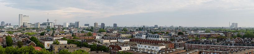 Panorama der Stadt Rotterdam, Niederlande von Martin Stevens