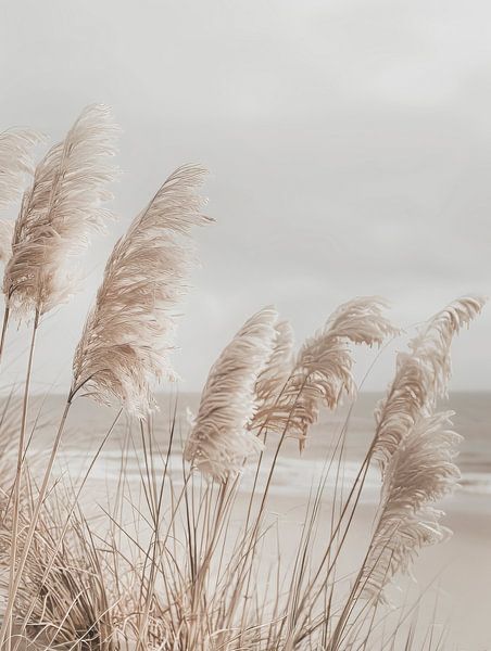 Pampas grass at the beach by Melanie Viola