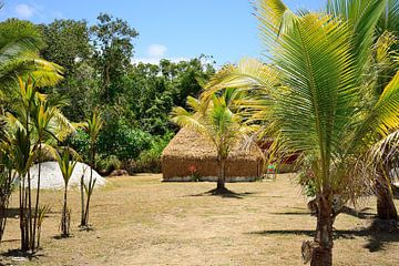 Traditional hut on Lifou by Frank's Awesome Travels