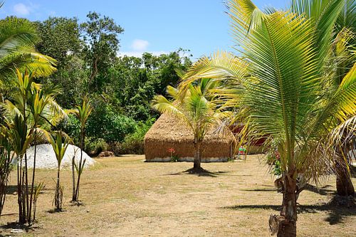 Traditional hut on Lifou