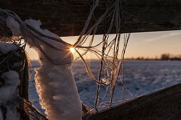 Dutch Winter sur Rob van der Teen