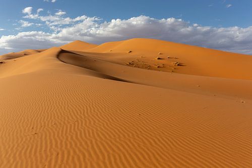 De woestijnen van de Sahara en het Landschap van Zandduinen bij Zonsopgang, Afrika