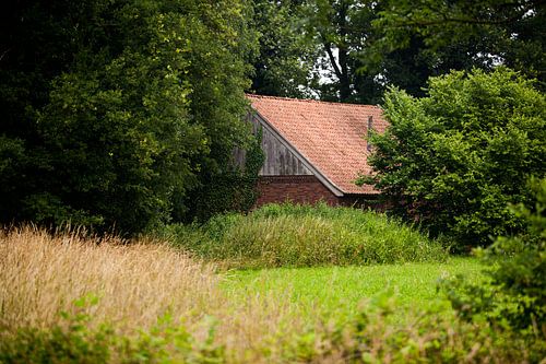 Verscholen boerderijen in de Achterhoek, omgeving van Winterswijk (8)