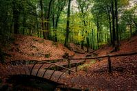Herbst in Beekhuizen