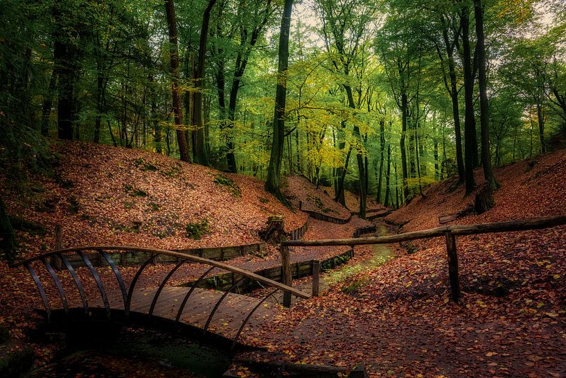 L'automne à Beekhuizen par Henry Smeets