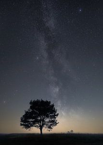 Galaxie sur la Veluwe sur Jeroen Linnenkamp