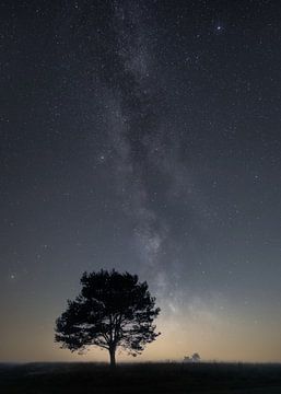 Galaxy on the Veluwe by Jeroen Linnenkamp
