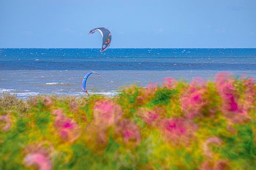 Noordzee met Bloemen