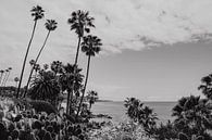 Laguna Beach Californie Amérique noir et blanc sur Amber den Oudsten Aperçu
