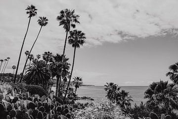Laguna Beach California America black and white