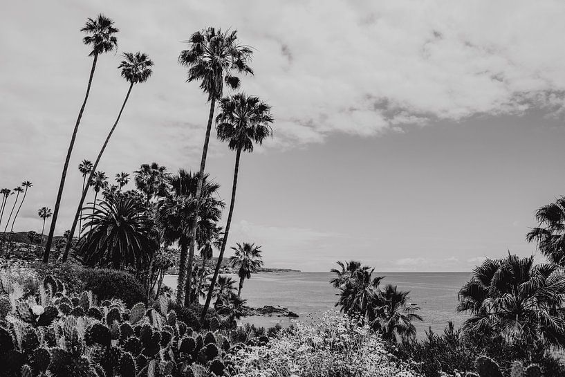 Laguna Beach Californië Amerika zwart wit van Amber den Oudsten