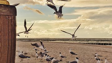 Strandstoel op het strand van de Baltische Zee. Kustvakantie aan zee van Martin Köbsch