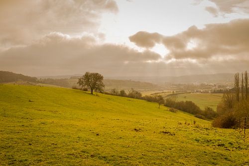 Sunset in the countryside of Luxembourg