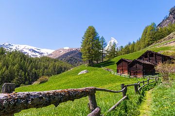 Paysage suisse idyllique avec vue sur le Cervin sur Justin Suijk