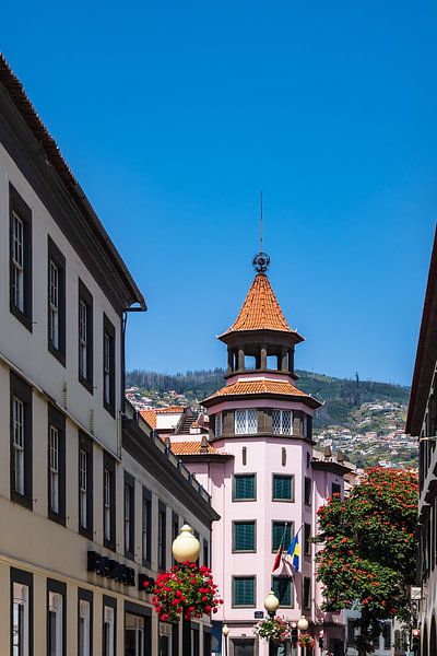 View to buildings in Funchal on the island Madeira, Portugal par Rico Ködder