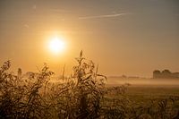 Sonnenaufgang im Polder