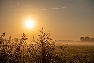 sunrise in the polder by Lilian Photography